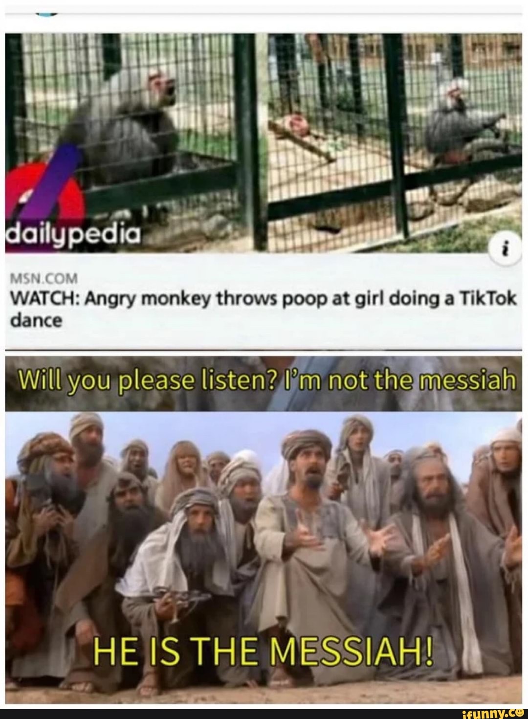 WATCH Angry monkey throws poop at girl doing a TikTok dance Will you