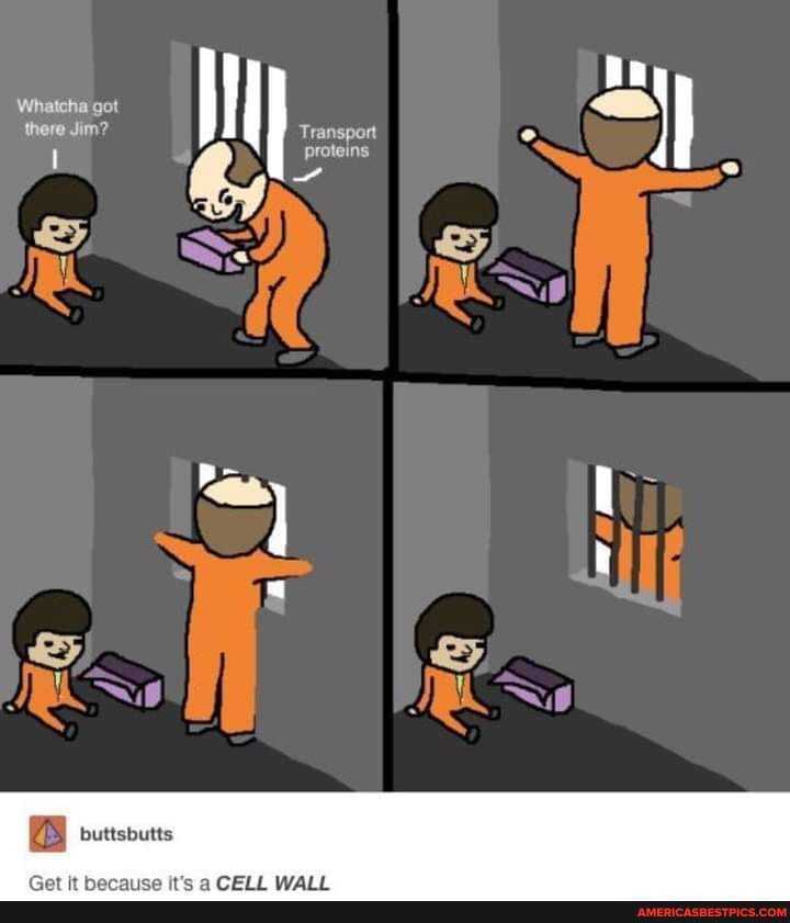 proteins
Whatcha got there Jim? Transport
