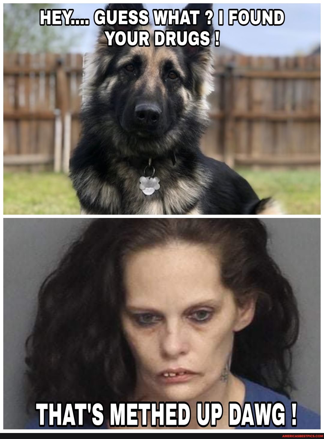 HEY.... GUESS WHAT ? I FOUND YOUR DRUGS !
THAT'S METHED UP DAWG!