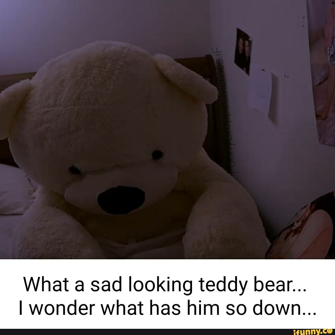 What a sad looking teddy bear... I wonder what has him so down... - iFunny