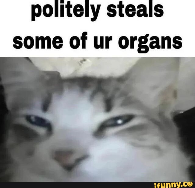 Politely steals some of ur organs - iFunny