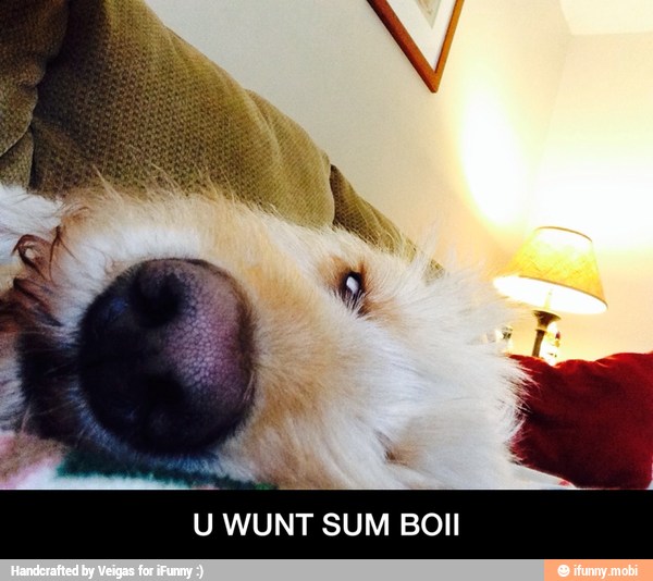U WUNT SUM BOIIl - U WUNT SUM BOII