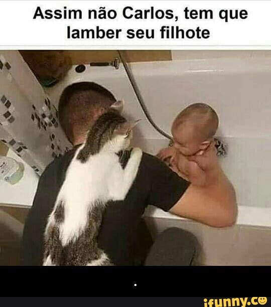 Assim não Carlos, tem que
lamber seu filhote - .