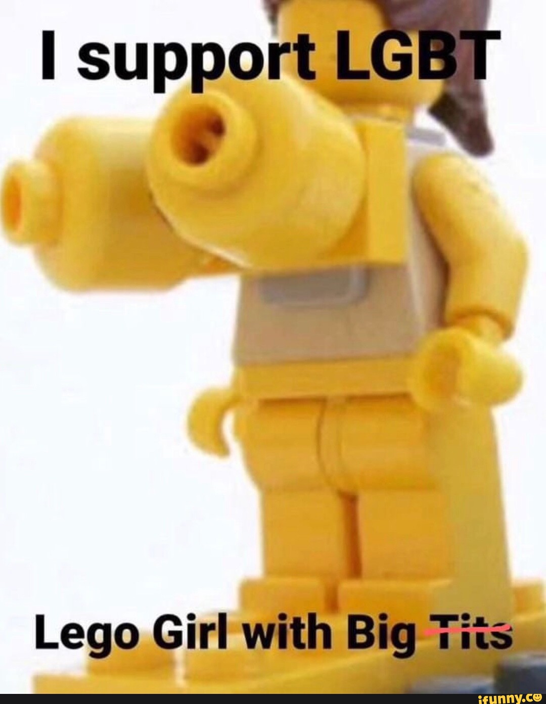 Lego Porn Tits - I support Lego Girl with Big Tits - iFunny