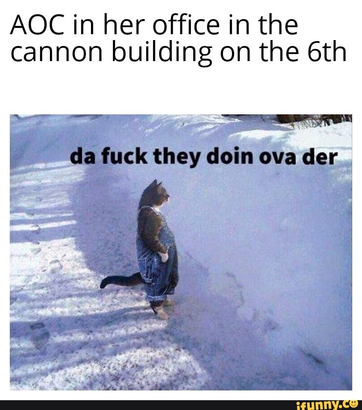 AOC in her office in the cannon building on the
da fuck they doin ova der
