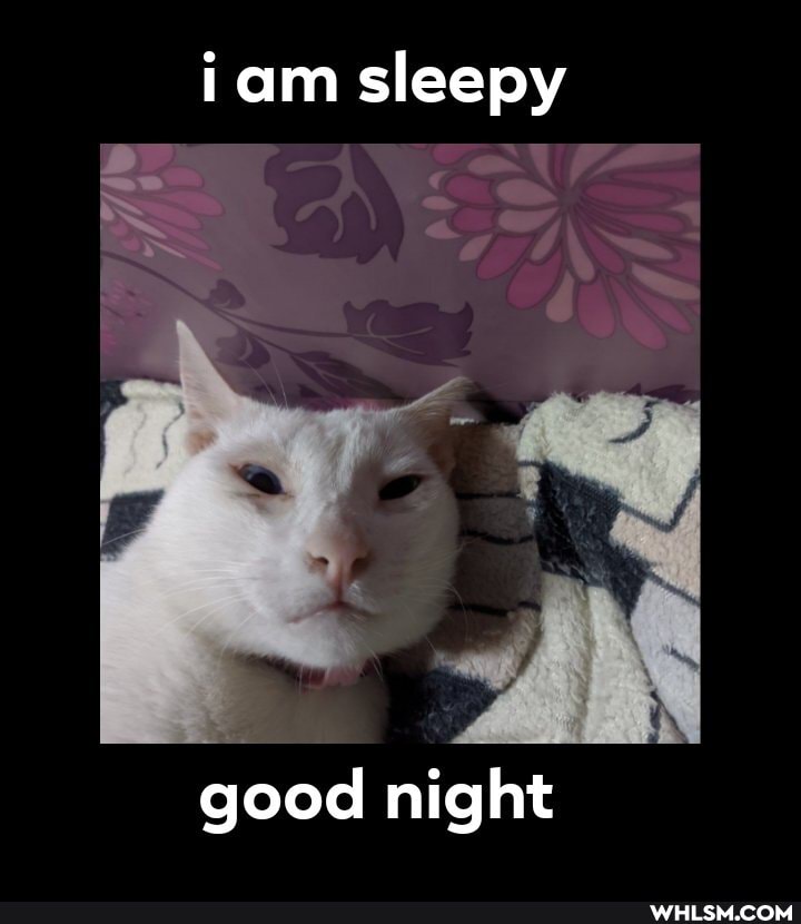 am sleepy
good night