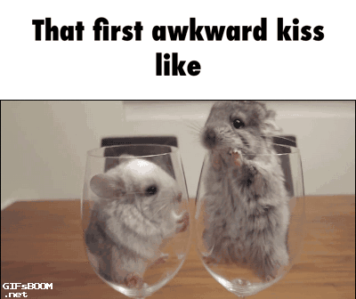 Awkward Hamster Meme 10lilian
