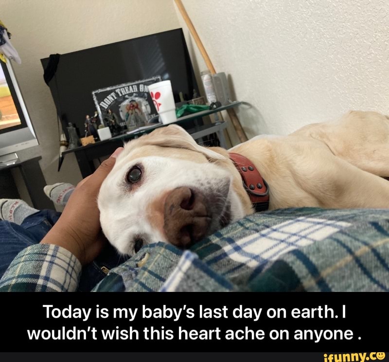 Today is my baby's last day on earth. I wouldn't wish this heart ache on anyone . - Today is my baby’s last day on earth. I wouldn’t wish this heart ache on anyone .