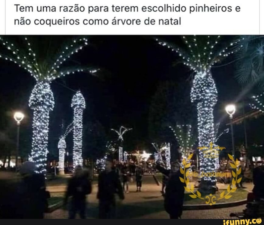 Tem uma razão para terem escolhido pinheiros e
não coqueiros como árvore de natal