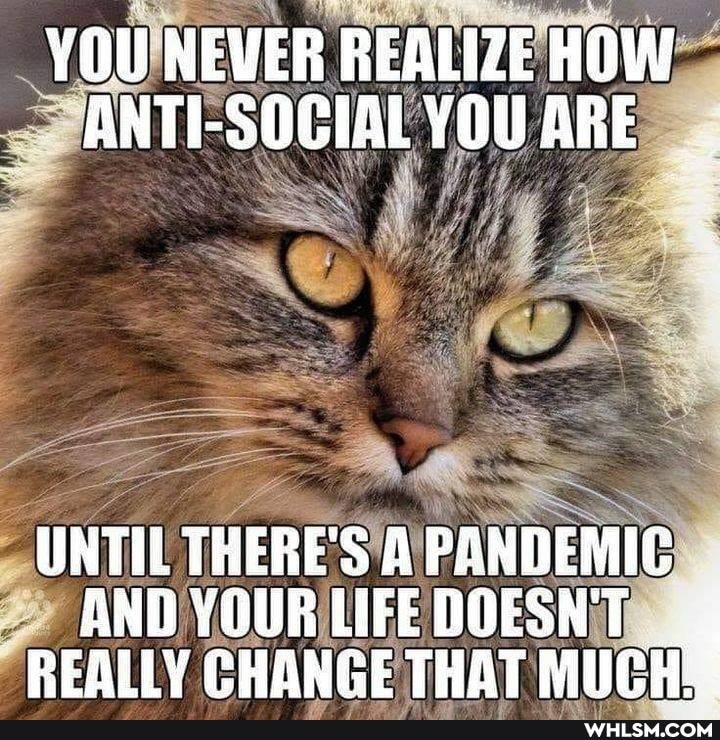 YOU NEVER REALIZE HOW ANTI-SOCIAL YOU ARE.
az
UNTIL THERE'S A PANDEMIC ANDYOURLIFEDOESNT REALLY CHANGE THAT MUCH: