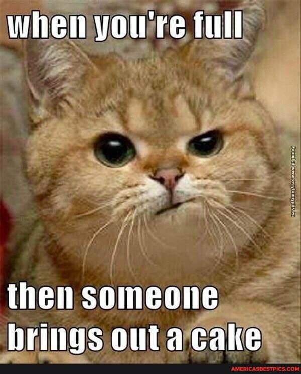 when you're full
then someone brings outa cake