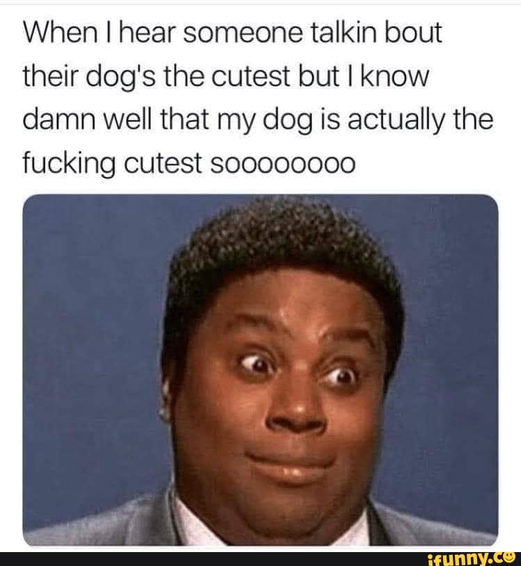When I hear someone talkin bout their dog's the cutest but I know damn well that my dog is actually the fucking cutest Soo0d0000