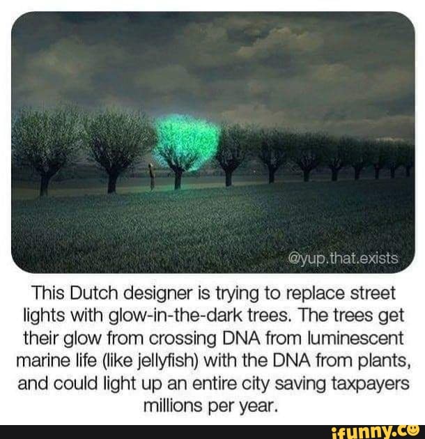 This Dutch Designer Is Trying To Replace Street Lights With Glow In The