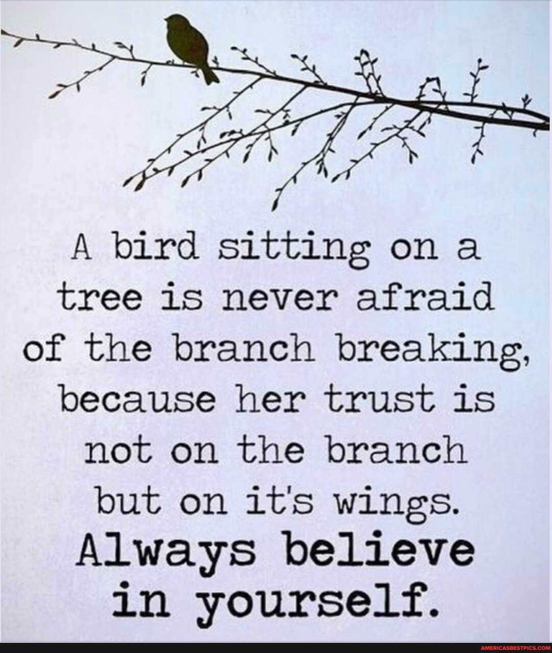 A bird sitting on a tree is never afraid of the branch breaking, because her trust is not on the branch
but on it's wings.
Always believe in yourself.