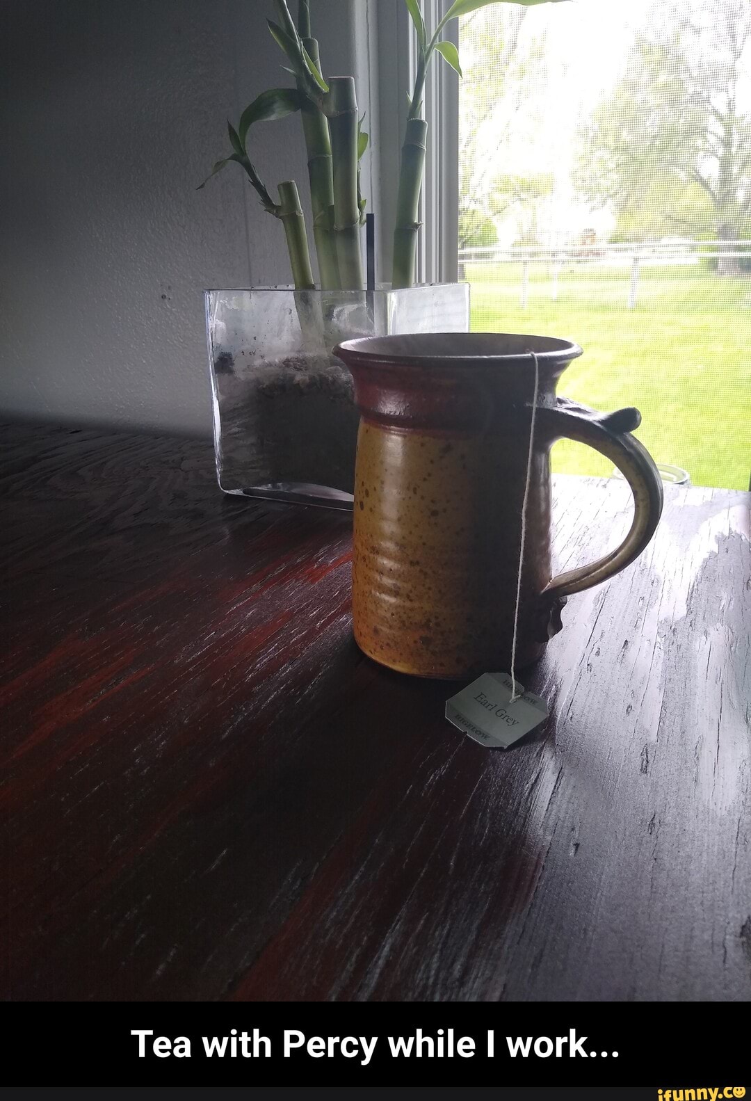 Tea with Percy while I work... - Tea with Percy while I work...