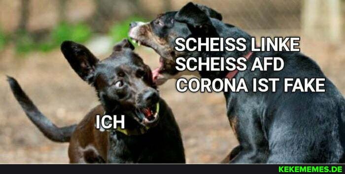 SCHEISS LINKE SCHEISS AFD CORONA IST FAKE
ICH