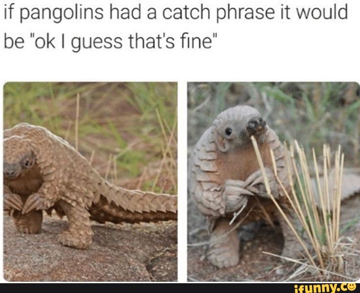 Catching phrase