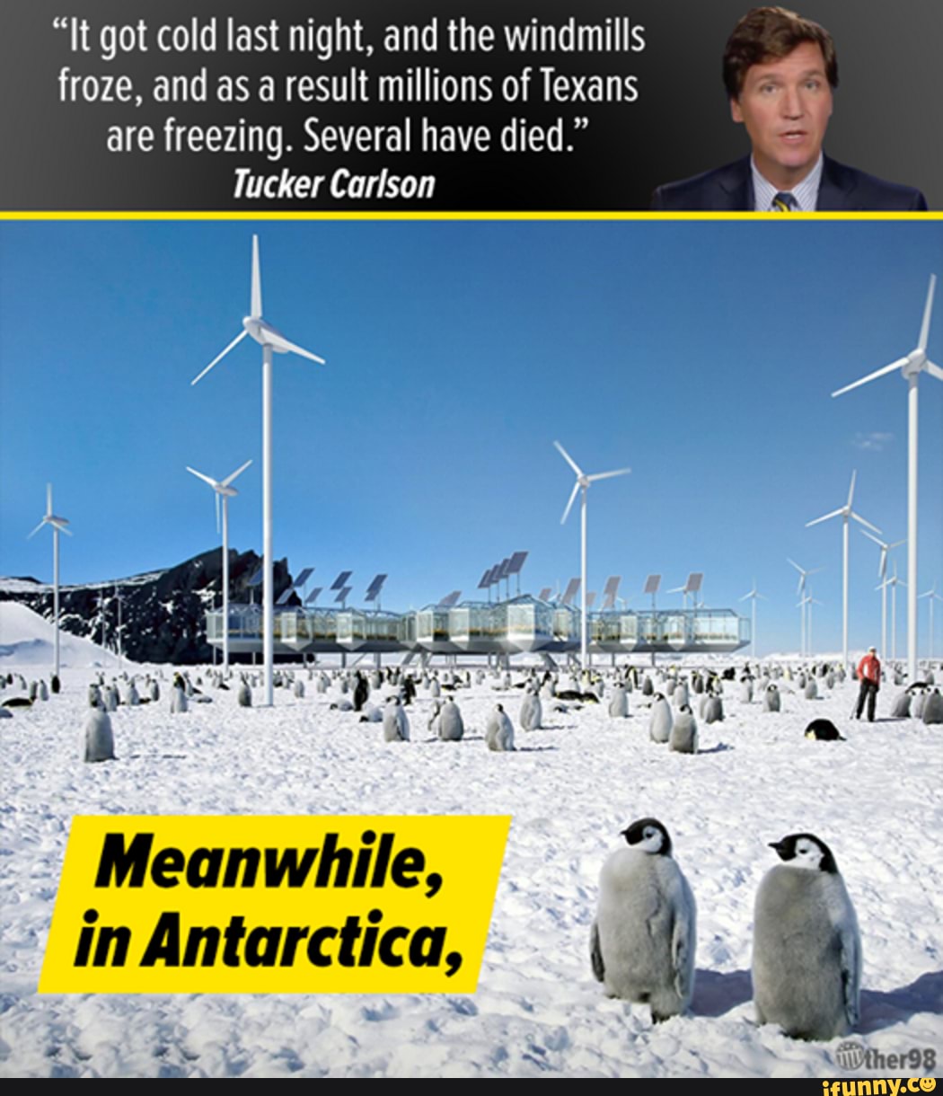 It be cold last week. Tucker Carlson memes. Tucker Carlson meme.