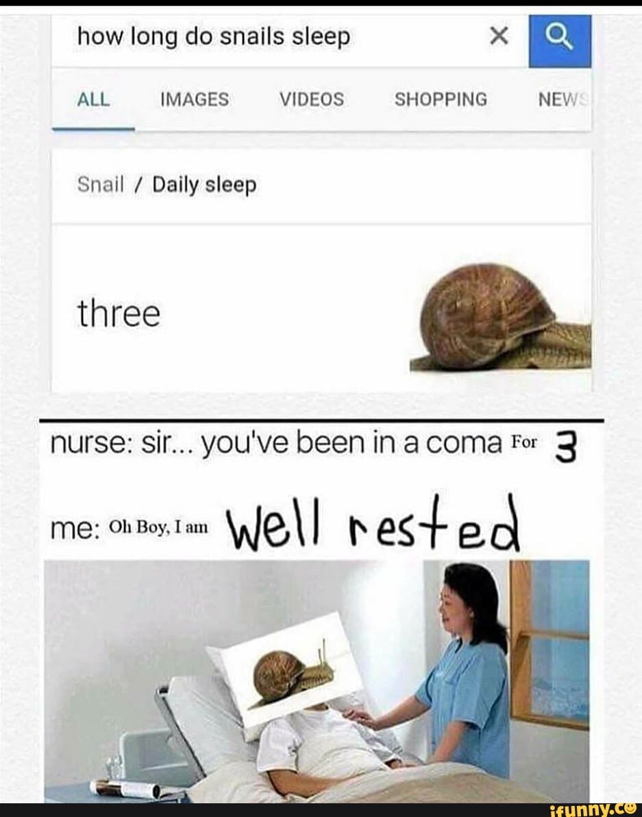 how long do snails sleep
ALL IMAGES VIDEOS SHOPPING NEV
Snail / Daily sleep
three
nurse: sir... you've been in coma Fer
ME: Ob Boy. Lam well est ed
