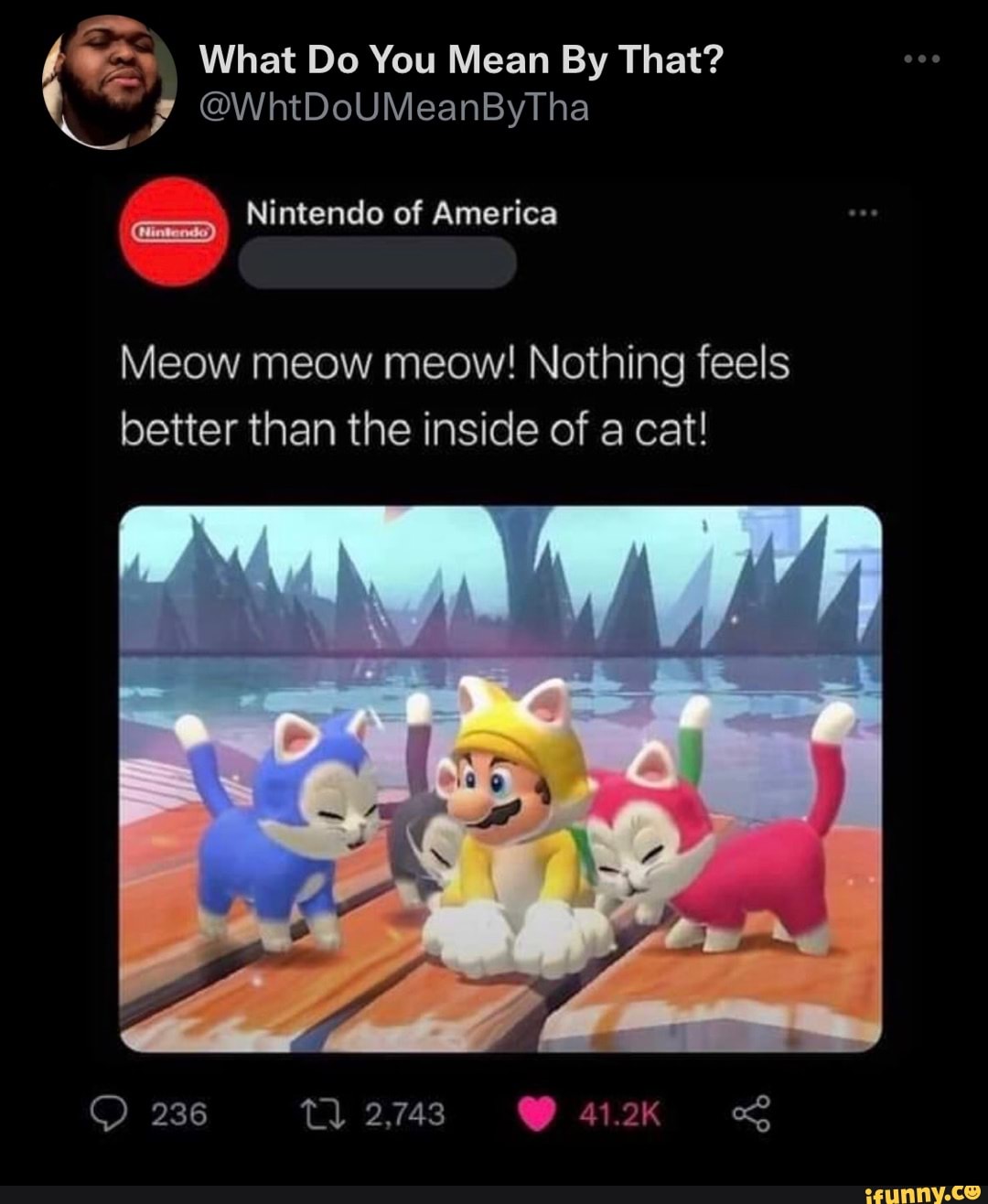 Feel nothing better. Meow Meow Meow nothing feels better than the inside of a Cat. Nintendo of America проекты. Nothing feels better. Nintendo twit nothing feel better than inside Cat.