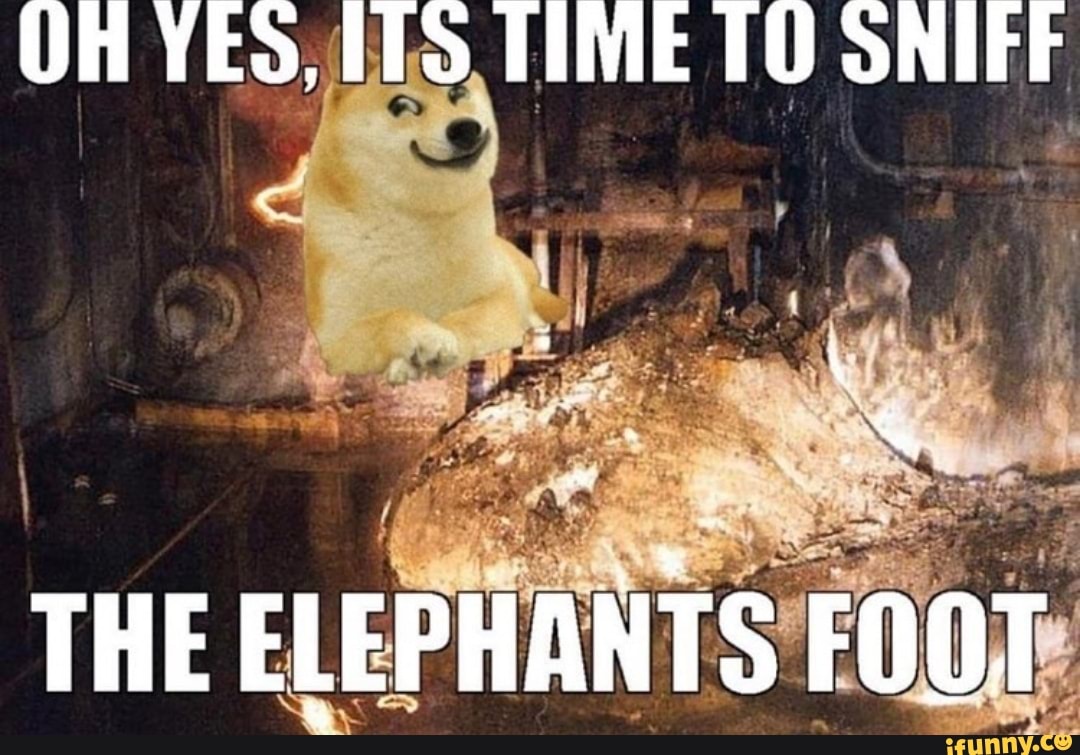 Oh Yes Its Time To Sniff We The Elephants Foot Ifunny