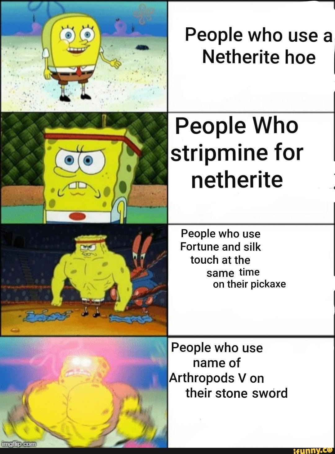 People who use a Netherite hoe People Who stripmine for netherite ...