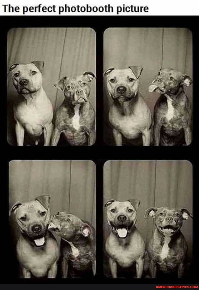 The perfect photobooth picture