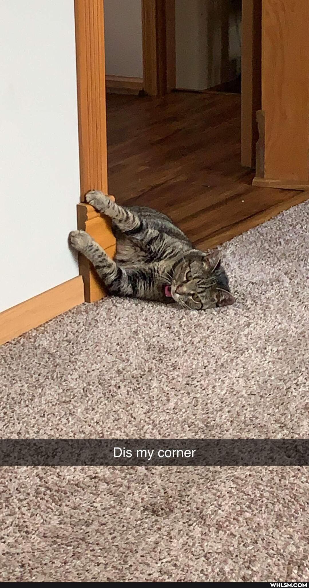 Dis my corner
of