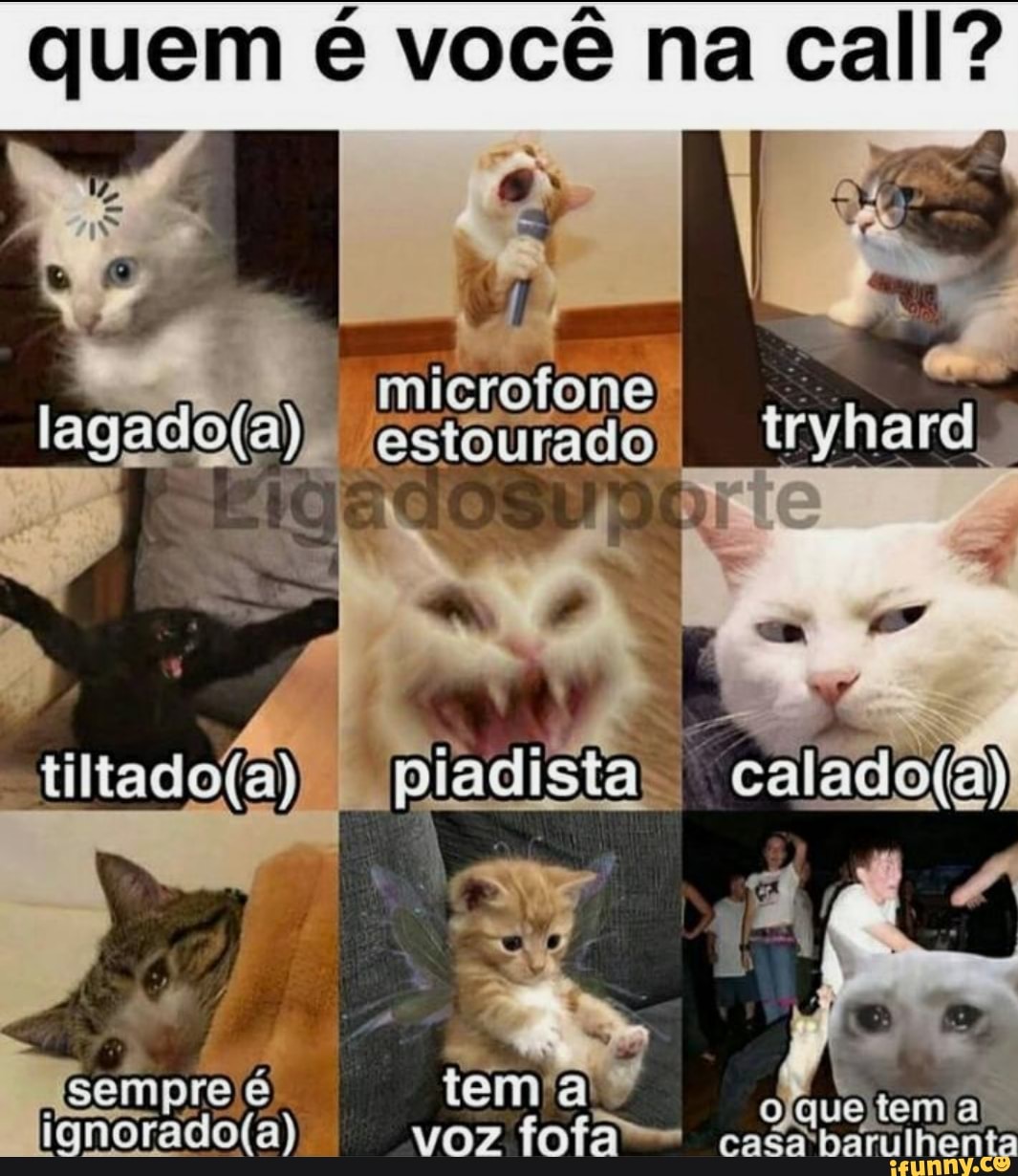quem é você na call?
estourado)
piadista
4 Sempre é tem voz fofa cacapbatulhenta