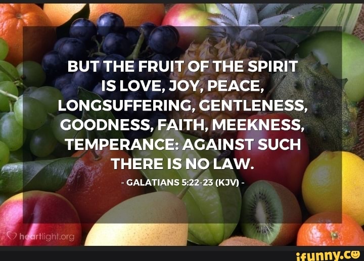 @St-~ 4] BUT THE FRUIT OF THE SPIRIT IS LOVE, JOY, PEACE, LONGSUFFERING ...