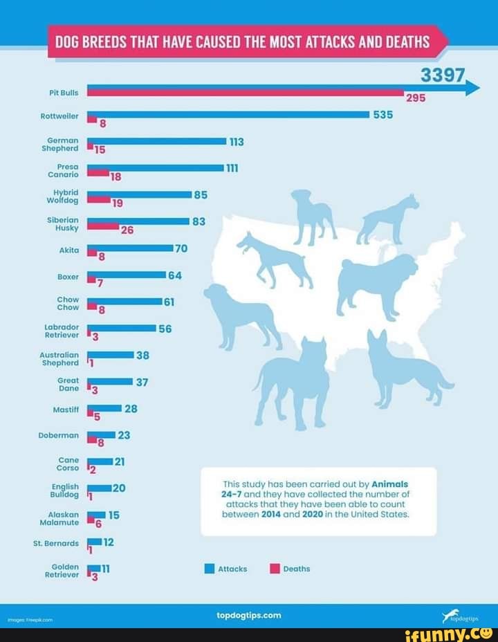 DOG BREEDS THAT HAVE CAUSED THE MOST ATTACKS AND DEATHS 3397, Rottweiler 535 113 woes ss Akita