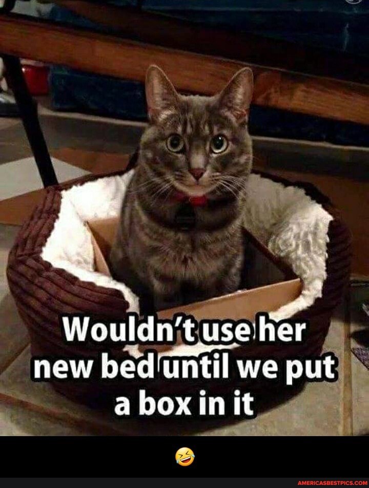 Wouldn't use lier new bediantil we put a box in it - đŸ¤£