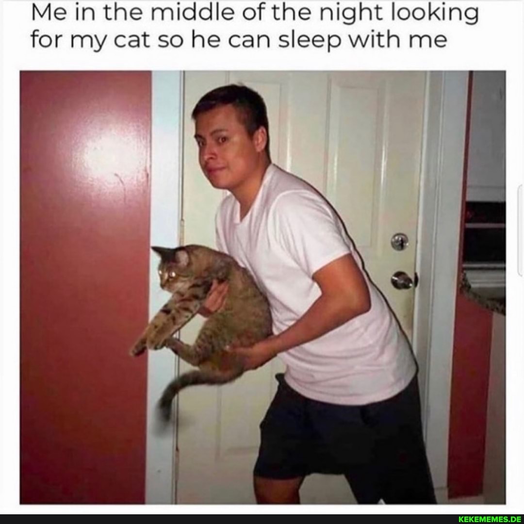 Me in the middle of the night looking for my cat so he can sleep with me