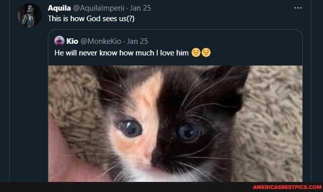 Aquila @Aquilalmperii Jan 25
This is how God sees us(?)
Kio @Monkekio - Jan 25
He will never know how much I love him