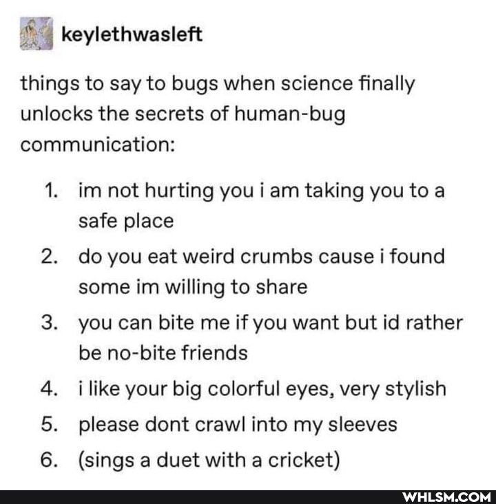 things to say to bugs when science finally unlocks the secrets of human-bug communication:
1. im not hurting you am taking you to a safe place
2. do you eat weird crumbs cause i found some im willing to share
3. you can bite me if you want but id rather be no-bite friends
i like your big colorful eyes, very stylish
5. please dont crawl into my sleeves
6. (sings a duet with a cricket)