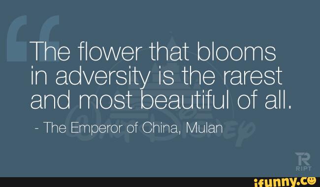 The flower that blooms
in adversity is the rarest
and most beautiful of all.
The Emperor of Chína, Mulah