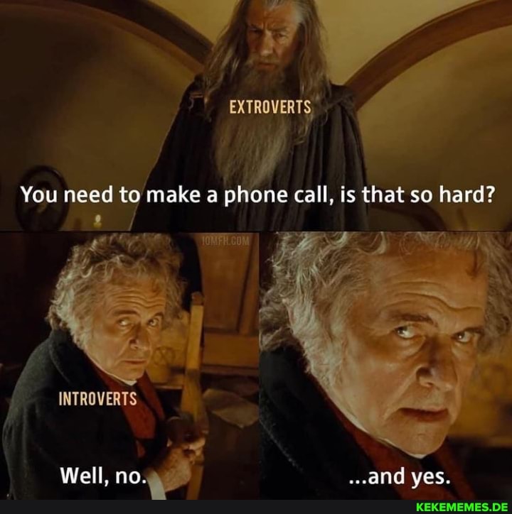 EXTROVERTS
You need to make a phone call, is that so hard?
INTROVERTS
Well, no. ...and yes.