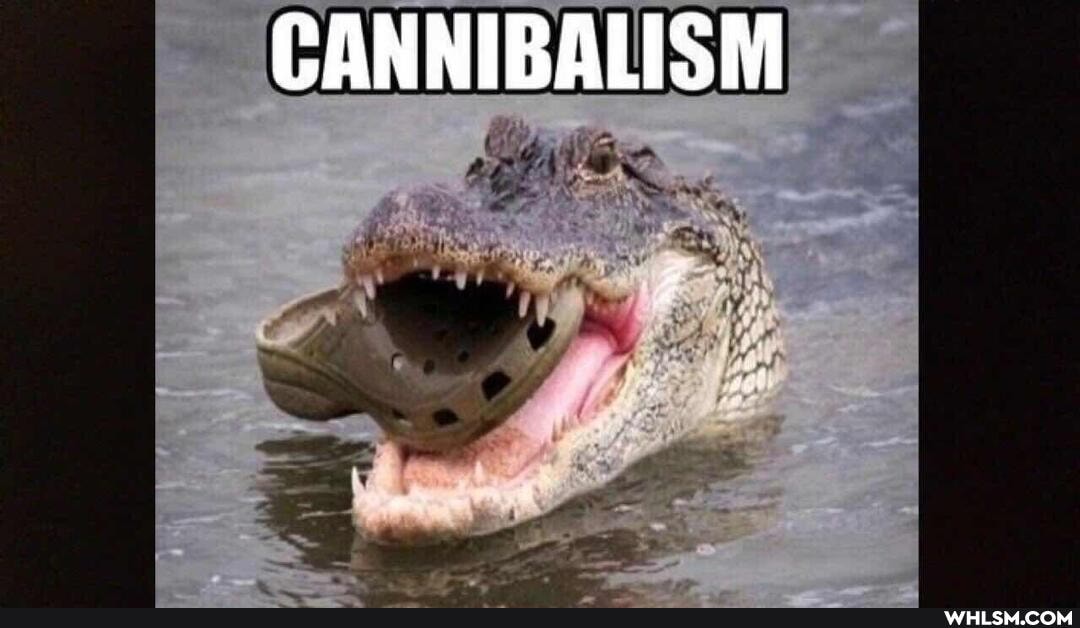CANNIBALISM