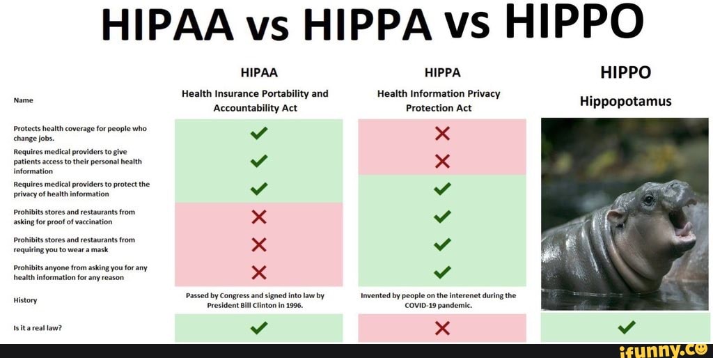 HIPAA vs HIPPA vs HIPPO HIPPO Hippopotamus Name Protects health