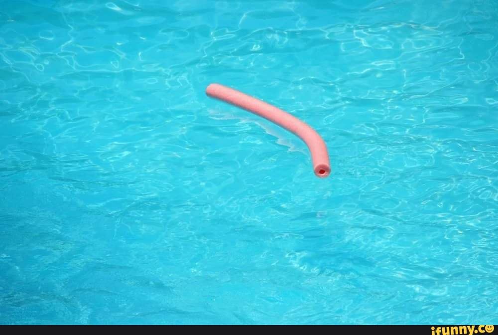 Uhhhhhh... NOT OK. Check your pool noodles people! 🐍🫣 iFunny
