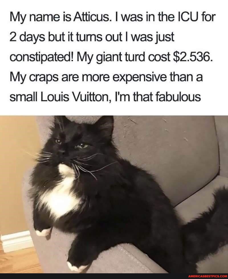 Louisvuitton memes. Best Collection of funny Louisvuitton pictures