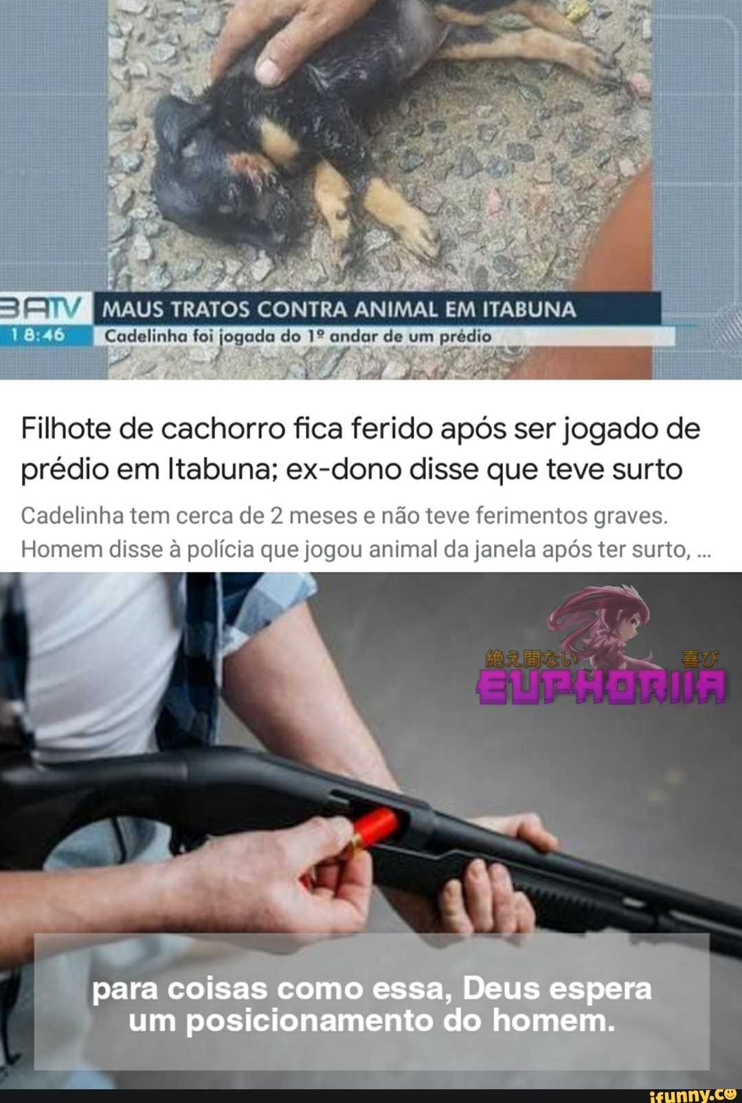 MAUS TRATOS CONTRA ANIMAL EM ITABUNA
Cadelinha foi jogada do andar de um pi
Filhote de cachorro fica ferido após ser jogado de prédio em Itabuna; ex-dono disse que teve surto
Cadelinha tem cerca de 2 meses e não teve ferimentos graves.
Homem disse à polícia que jogou animal da janela após ter surto,
para coisas como essa, Deus espera
um posicionamento do homem.