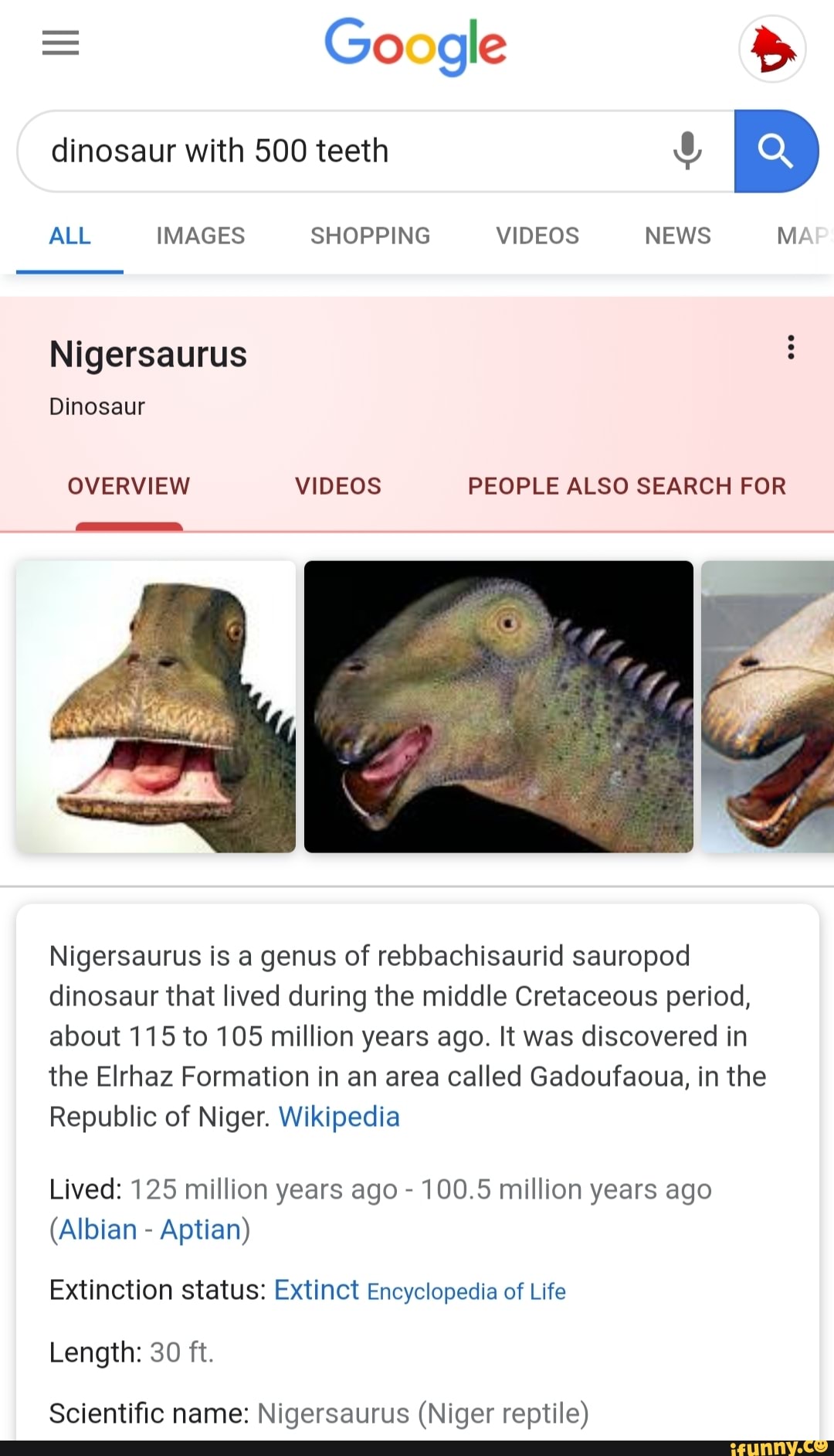 ALL IMAGES SHOPPING VIDEOS NEWS MA Nigersaurus 3 Nigersaurus is a genus ...