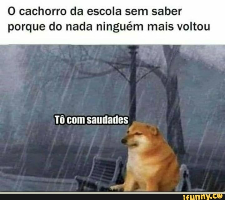 O cachorro da escola sem saber porque do nada ninguém mais voltou
Tô com saudades