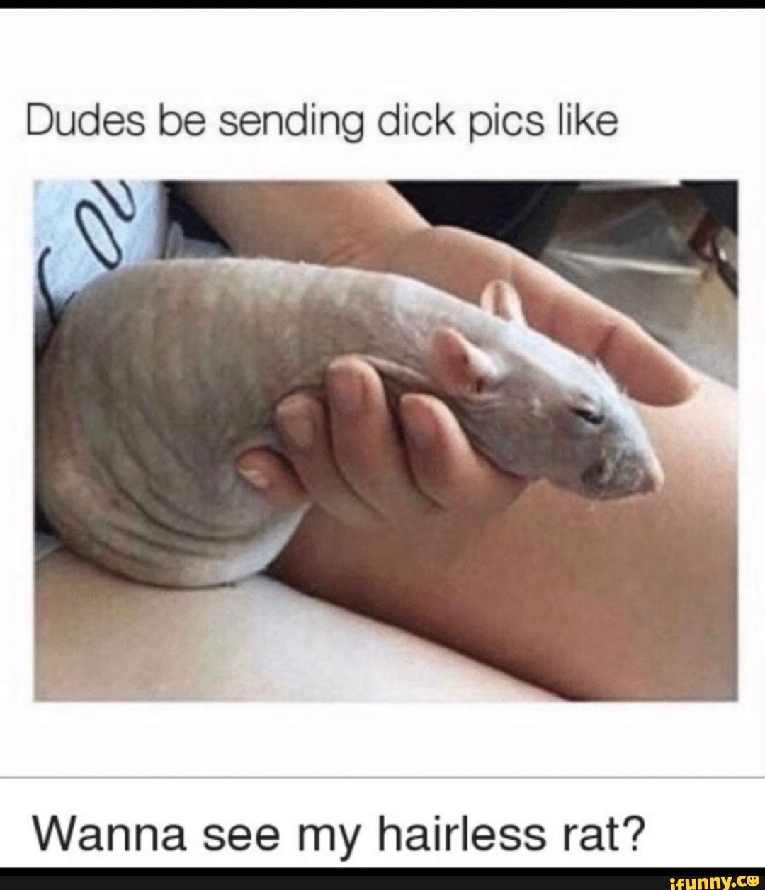 Sending dick pics meme