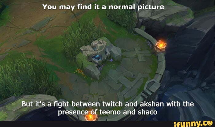 Teemo memes. Best Collection of funny Teemo pictures on iFunny