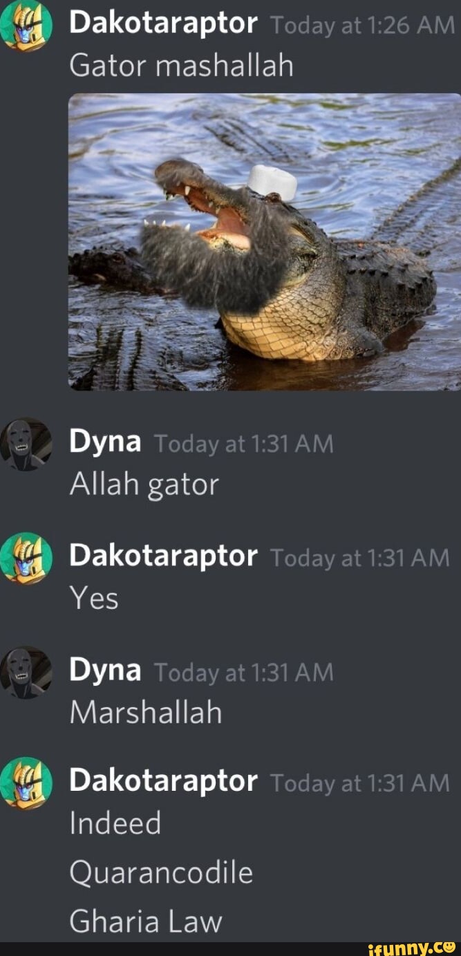 Dakotaraptor foday at 1.26 AM Gator mashallah Dyna Today at Allah gator ...