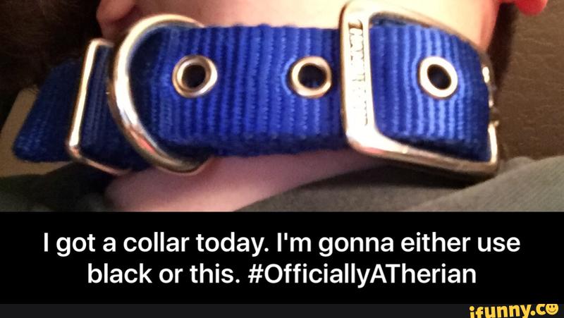 I got a collar today. I'm gonna either use
black or this. #OfficiallyATherian - I got a collar today. I'm gonna either use black or this. #OfficiallyATherian