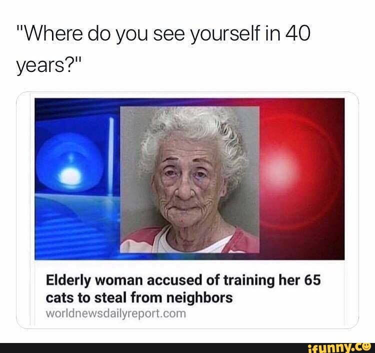 "Where do you see yourself in 40 years?" Elderly woman accused of training her 65 cats to steal