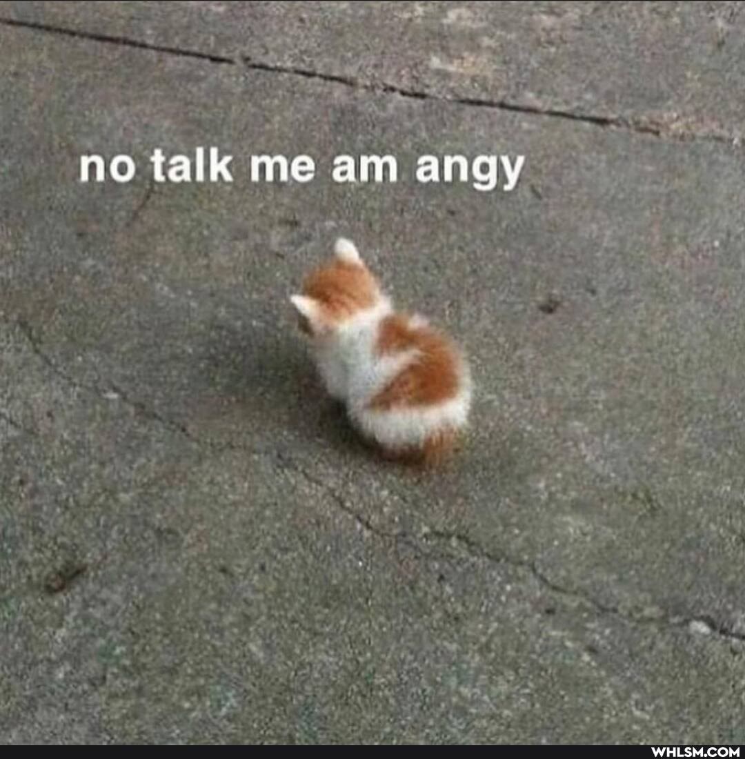 no talk me am angy